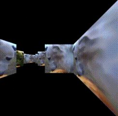 a row of polar bears are shown on a black background