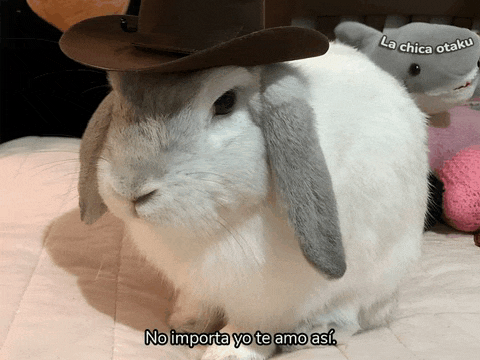 a white rabbit wearing a brown cowboy hat says no importa yo te amo asf