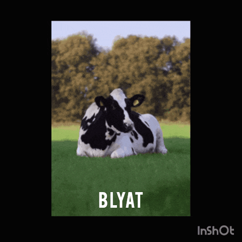 a black and white cow laying in a grassy field with the word blyat written below it