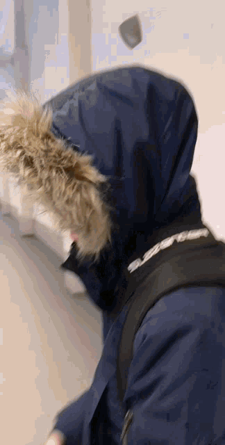 a person wearing a blue jacket with a fur hood and a black backpack
