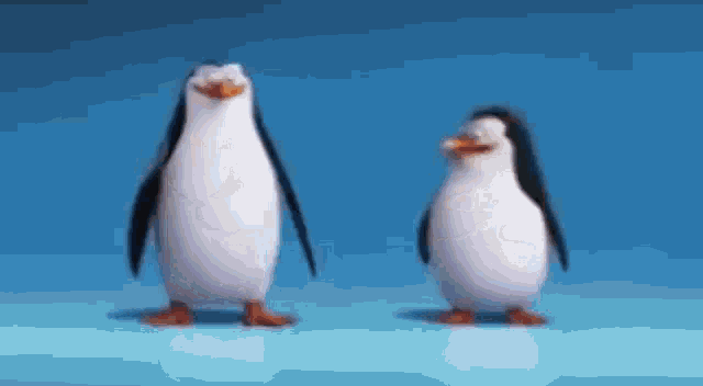 Penguin Dance GIF - Penguin Dance GIFs