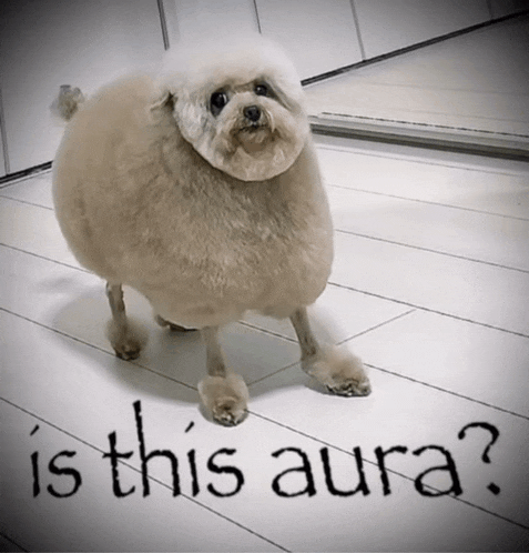 a dog that looks like a sheep is standing on a tiled floor next to the words is this aura