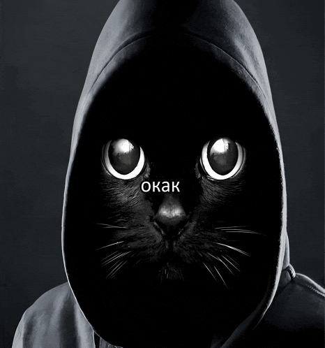 a black cat wearing a hooded jacket with the word okak on its face