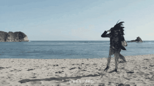 a person standing on a sandy beach with chinese writing on it
