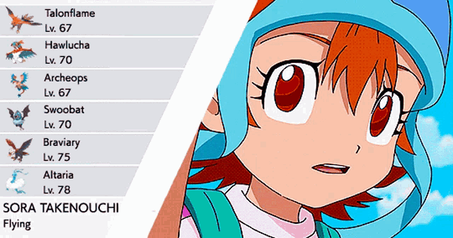 sora takenouchi is the name of the character shown