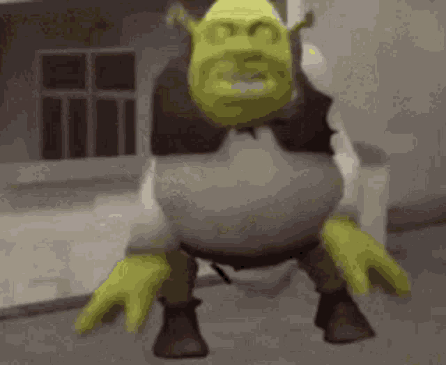 Shrek Funny GIF
