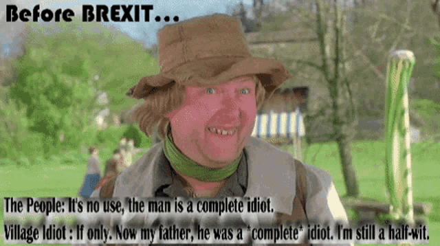 Brexit Idiot GIF - Brexit Idiot Village GIFs