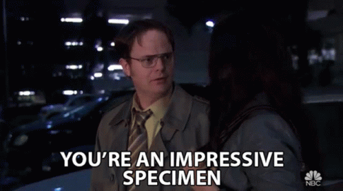 Youre An Impressive Specimen Dwight Schrute GIF - Youre An Impressive Specimen Dwight Schrute Rainn Wilson GIFs