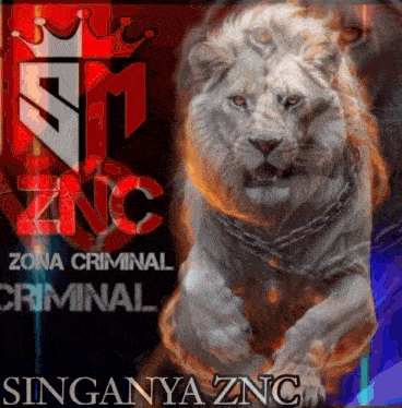 a lion with a chain around its neck is on a poster for zona criminal criminal