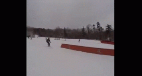 Ski Falling GIF - Ski Falling Sport GIFs