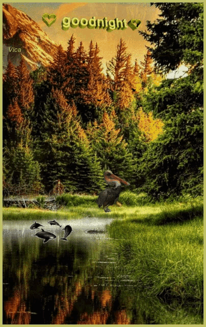 a picture of a lake with birds and the words goodnight on the bottom