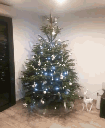 Sapin Christmas Tree GIF - Sapin Christmas Tree GIFs