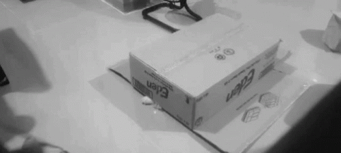 Cat Box GIF - Cat Box Moymoy GIFs