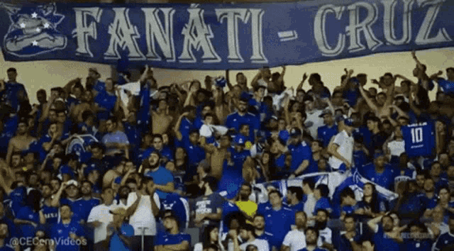 Fanaticruz Cruzeiro GIF - Fanaticruz Cruzeiro Cecemvideos GIFs