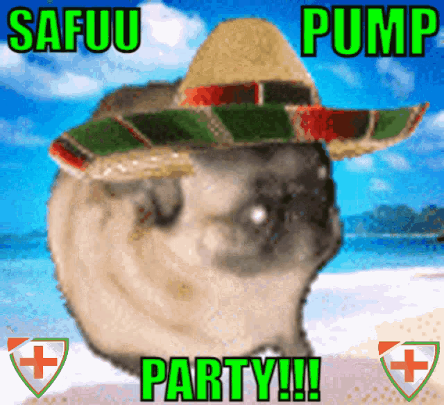 Safuu Safuu Pump Party GIF - Safuu Safuu Pump Party Safuu Party GIFs