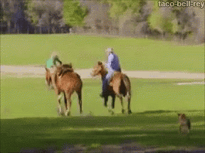 two people riding horses in a field with taco-bell-rey written on the bottom right