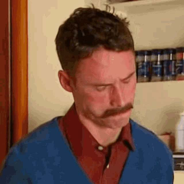 a man with a mustache and a blue sweater is making a sad face .