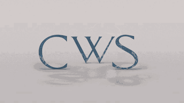 a blue bucket with soap coming out of it and the word ws behind it