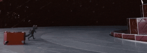 a squirrel is running on a ice rink in front of a red box