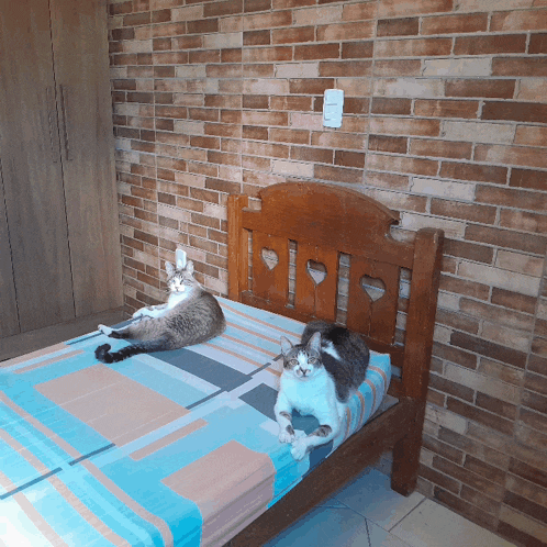 two cats are laying on a bed with a brick wall behind them