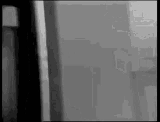 a black and white photo of a door with a shadow on it .