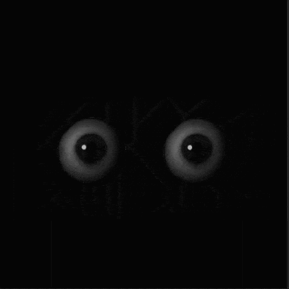 a pair of eyes on a black background with a maze in the background .