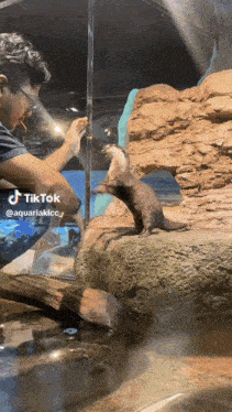 a otter is standing on its hind legs in front of a man in an aquarium