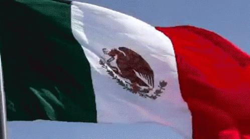 Mexico Flag GIF - Mexico Flag Mexican Flag GIFs