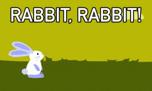 Rabbit Rabbit Hop GIF - Rabbit Rabbit Hop Skip GIFs