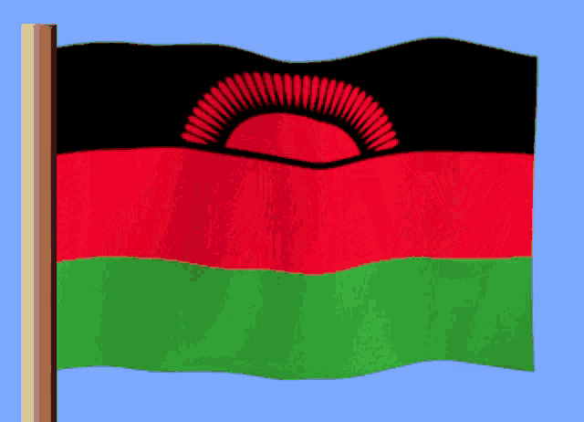 a red black and green flag with a sun in the center