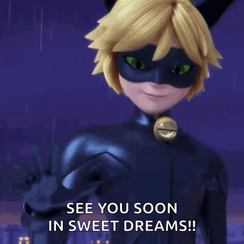 a picture of a cat noir says see you soon in sweet dreams