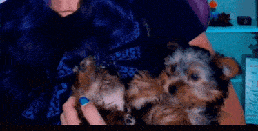 a woman with blue hair is holding a small brown and black dog in her arms .