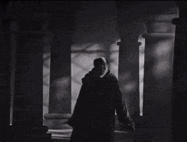 a black and white photo of a man standing in a hallway between columns .