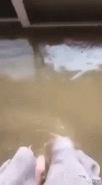 Viralhog Flood GIF - Viralhog Flood Dirty Feet GIFs