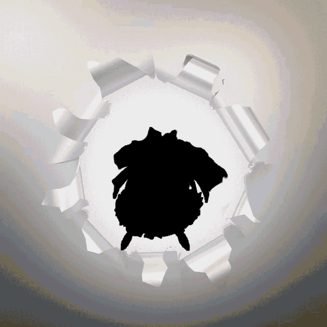 a hole in a piece of paper with a silhouette of a turtle in it