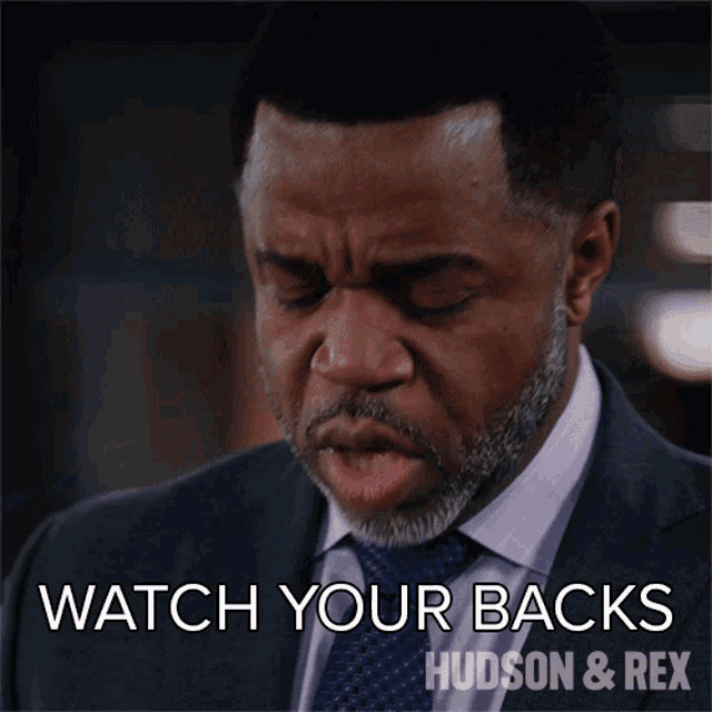Watch Your Backs Joseph Donovan GIF - Watch Your Backs Joseph Donovan Hudson And Rex GIFs