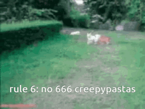 rule 6 : no 666 creepypastas is written in white letters