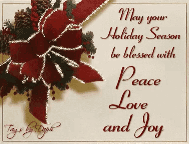 a christmas card that says may your holiday season be blessed with peace love and joy on it
