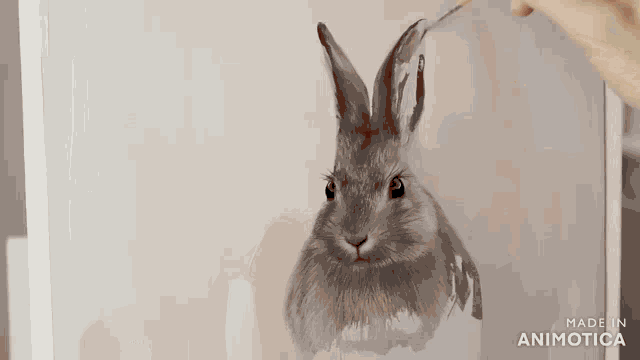 a person is painting a rabbit with the words made in animotica visible