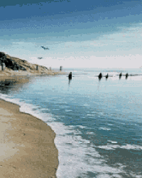 birds are flying over a body of water