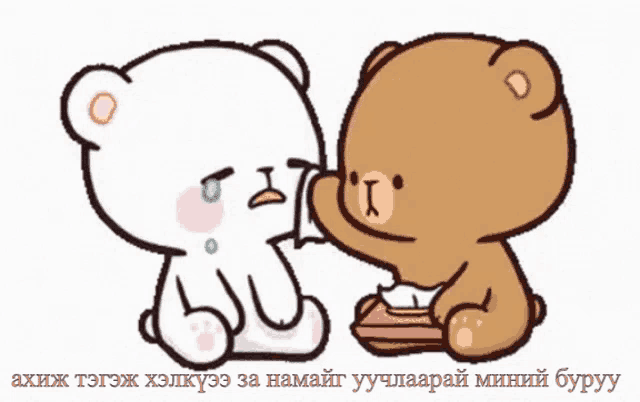 two teddy bears sitting next to each other with a foreign language caption
