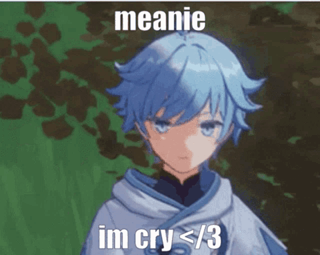 a picture of a blue haired anime character with the caption meanie im cry < 3
