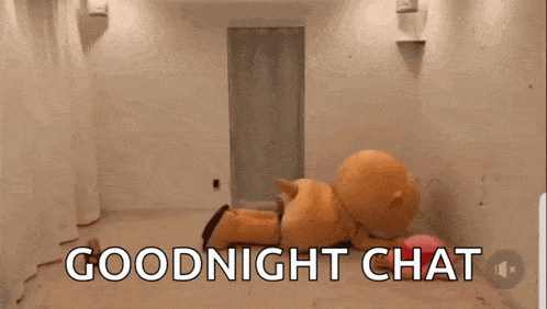 a stuffed animal with the words goodnight chat written on it