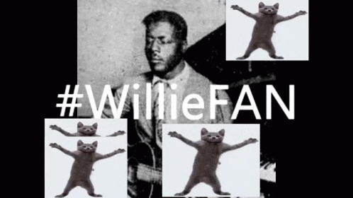 Willie Blind GIF - Willie Blind Spacefox GIFs