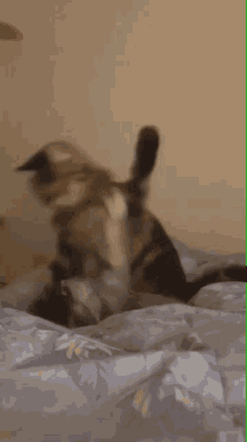 a cat is playing on a bed with a purple blanket