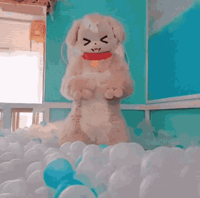 a stuffed animal in a dog costume standing in a ball pit
