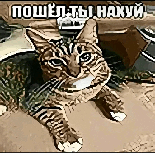 a drawing of a cat with a foreign language caption