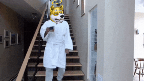 a person wearing a bathrobe and a dog mask is walking up stairs