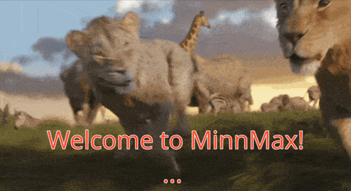 a picture of a lion cub with the words welcome to minnmax