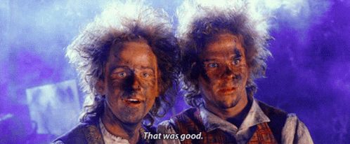 That Was Good Hobbit Good GIF - That Was Good Hobbit Good Merry And Pippin GIFs